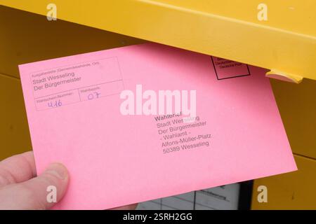 Hand lässt den Briefwahlbrief für den Bundestag fallen Stockfoto