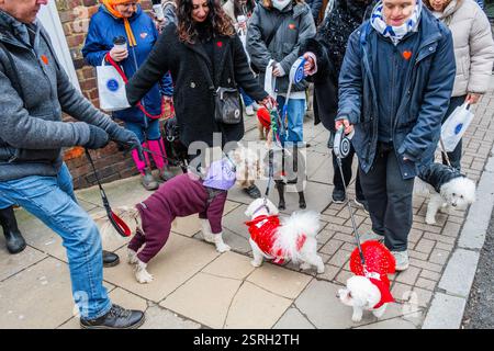 London, Großbritannien. Februar 2025. Hunde und Besitzer ziehen sich für den jährlichen Valentinstag-Spaziergang „All Dogs Matter“ an, der am Garden Gate Pub beginnt und nach Hampstead Heath fährt. Alle Erlöse unterstützen ihre Rettungs- und Aufräumarbeiten. Guy Bell/Alamy Live News Stockfoto