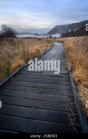 Hölzerner Fußweg führt durch die Landschaft mit Bergen im Hintergrund. Borrowdale, Keswick, Lake District, Großbritannien. Stockfoto