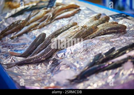 Frischer Fisch auf dem Bauernmarkt in Paris, Frankreich. Typischer europäischer Fischmarkt Stockfoto