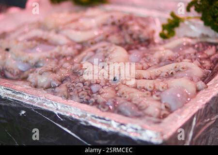 Frischer Tintenfisch auf dem Bauernmarkt in Paris, Frankreich. Typischer europäischer Fischmarkt Stockfoto