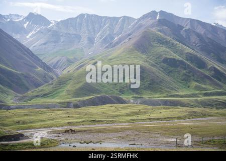 Zwei Pferde kuscheln sich in einer wunderschönen Alpenlandschaft mit grünen Weiden, Pamir-Bergen, Kirgisistan Stockfoto