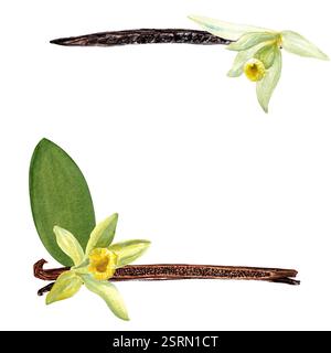Vanillebohnen mit Blumen Aquarellrahmen isoliert auf weißem Hintergrund. Hochwertiges, handgezeichnetes Designelement, perfekt für Gewürzdosen Stockfoto