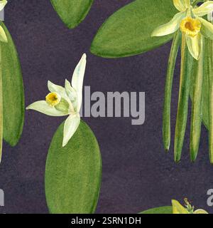Vanilleblüten und Bohnen Pflanzen nahtloses Muster in Aquarell auf dunklem texturiertem Hintergrund. Hochwertiges handgezeichnetes Design, perfekt für Gewürzbox, Café Stockfoto