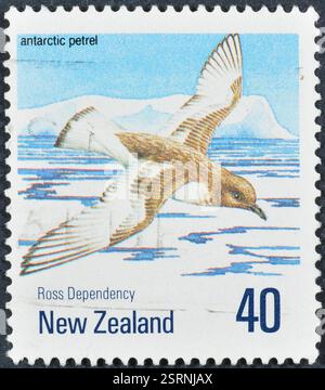Gestempelte Briefmarke von Neuseeland, die Antarktischen Petrel (Thalassoica antarktis) zeigt, um 1990 Stockfoto