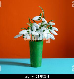 Schöne zarte weiße Schneeglöckchen Blumen in kleiner grüner Glasvase auf orangem Hintergrund. Blumendekoration, farbenfrohes Design mit Kopierraum. Stockfoto