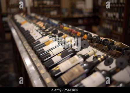 Reihe von Weinflaschen mit trockenem Rot- und Weißwein auf Holz. Geringe Schärfentiefe. Konzept für Weinherstellung und Weinhandlung Stockfoto