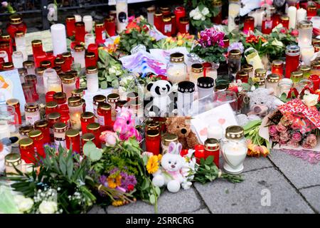 München, Bayern, Deutschland. Februar 2025. Gedenkfeier mit Blumen und Kerzen am Tatort eines mutmaßlichen Terroranschlags in der bayerischen Landeshauptstadt München am 13. Februar. Ein 24-jähriger Afghane hat mehrere Personen verletzt, die an einem VERDI-Protest mit einem Auto teilnahmen, eine 37-jährige Frau und ein 2-jähriges Kind erlagen zwei Tage später ihren Verletzungen. (Kreditbild: © Andreas Stroh/ZUMA Press Wire) NUR REDAKTIONELLE VERWENDUNG! Nicht für kommerzielle ZWECKE! Stockfoto
