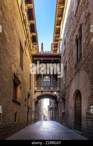 Barcelona, Spanien - 4. Februar 2025: Brücke zwischen den Gebäuden des gotischen Viertels Barri in Barcelona, Spanien Stockfoto