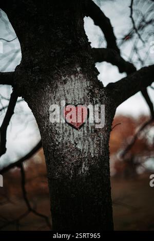 Gemaltes Herz auf einem Baum in Banska Stiavnica Stockfoto