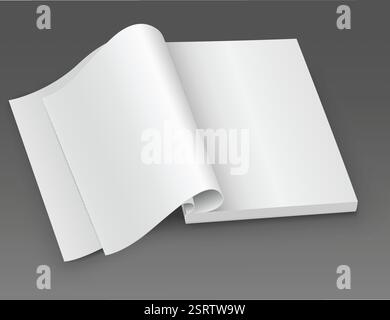 Weißes leeres geöffnetes Magazin. Stock Vektor