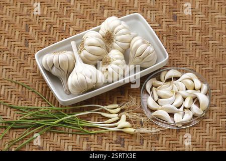 Gemüse und indische Gewürze, Knoblauchzehen mit Wurzel allium sativum auf braunem Hintergrund Stockfoto