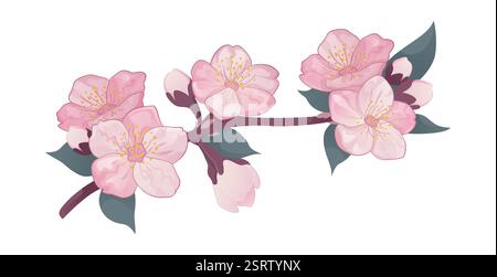 Elegante Vektor-Illustration eines Sakura-Zweigs mit zarten rosa Blüten, isoliert auf einem weißen Hintergrund. Perfekt für Blumenmuster, Branding und Stock Vektor