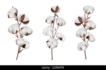 Baumwollblume. Pflanzenzweig, weißer Ball oder Bio-Farm-Tampon, Knospen mit weicher Textur, reine Kugelblüte. Realistische isolierte botanische Objekte Stock Vektor