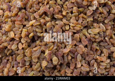 Spezielle getrocknete grüne Trauben für Snacks und Desserts. Getrocknete Traubenfrüchte, die offen auf dem Markt verkauft werden. Stockfoto