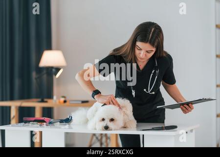 Die Ärztin ist mit dem Notizblock. Der süße kleine Hund ist in der Tierklinik. Stockfoto