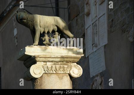 Eine Nahaufnahme der Romulus- und Remus-Statue über einer Säule auf dem Campidoglio-Platz in Rom Stockfoto
