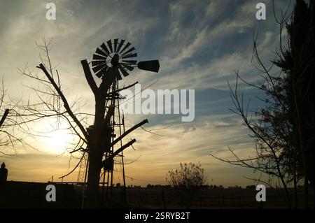 Sonnenuntergang auf dem Land mit der Silhouette einer Windmühle umgeben von Pflanzen Stockfoto