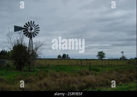 Windmühlen in den Pampas, Argentinien Stockfoto