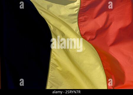 Detail der belgischen Flagge , weht im Wind Stockfoto