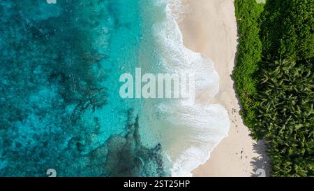 Türkisfarbenes Wasser berührt sanft das Ufer mit üppigen Palmen im Hintergrund. Seychellen, Mahe. Anse Boileau. Stockfoto