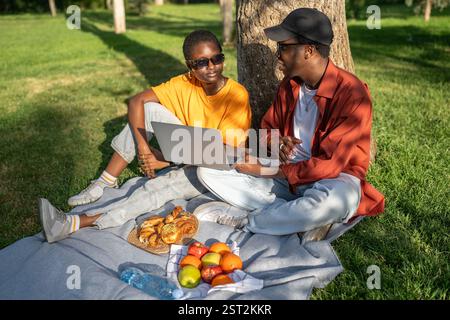 Ein engagiertes afroamerikanisches Paar macht Picknick im Park, konzentriert sich auf Laptop, diskutiert Projekt oder Film Stockfoto