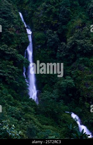Jungpana Falls, Kurseong, Darjeeling Stockfoto