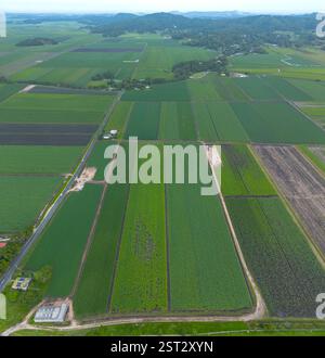 Die Condong Sugar Mill befindet sich am Ufer des Tweed River und zerquetscht seit 1880 Zuckerrohr Stockfoto