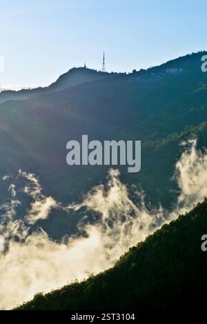 Goldener Nebel bedeckt die Hügel, wo die Dämmerung Licht in die Stille einhaucht. Stockfoto