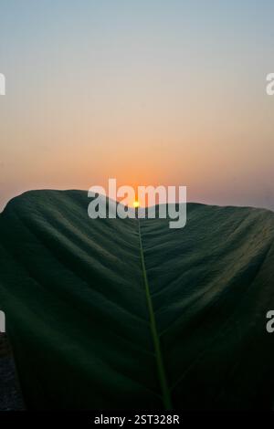 Und wieder hat ein neuer Tag begonnen. Stockfoto