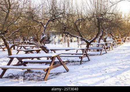 Wintercafe im Freien im Garten. Tische und Bänke mit Schnee bedeckt. Stockfoto