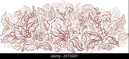 Kaffeeplantage. Bauernhof mit Textur Zweig, Beere, Blätter. Vektor Hand gezeichnet gravierte Illustration für Café Shop, Vorlage auf weißem Hintergrund. Stock Vektor