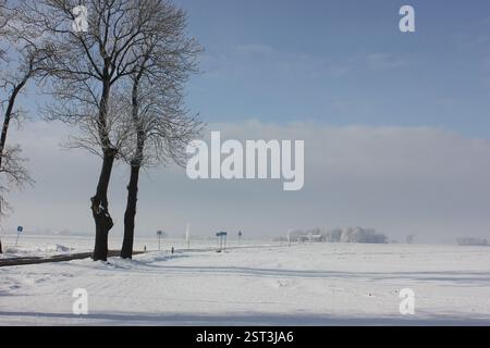 Winterlandschaft mit schneebedeckten Feldern und Bäumen in polnischer Landschaft mit einigen Gebäuden am Horizont Stockfoto