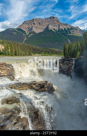 Sunwapta Falls und Kanadische Rockies im vertikalen Format, Jasper National Park, Kanada. Stockfoto