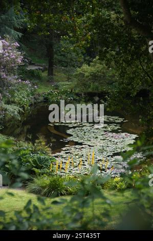 Ruhiger, mit Lilienpads geschmückter Gartenteich, eingebettet in üppiges Grün und einen gewundenen Pfad in Sintra, Portugal. Eine ruhige Oase, perfekt für Ruhe Stockfoto