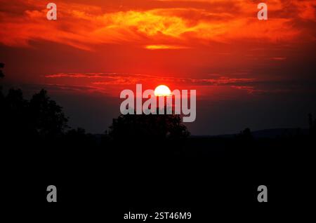 Feuriger roter Sonnenuntergang über Silhouettenbäumen mit dramatischem Himmel Stockfoto