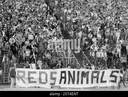 "Katastrophe mit 39 Toten anlässlich des Europapokalfinals Juventus Turin - FC Liverpool im Heysel-Stadion in Brüssel am 29.05.1985. Juventus-Fans mit dem Banner „ROTE TIERE“ nur für journalistische Zwecke! Nur redaktionelle Verwendung! [Automatisierte Übersetzung]“ Stockfoto