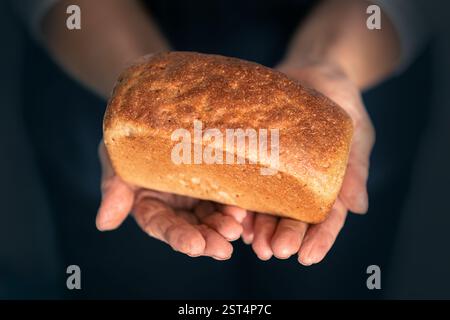 Weibliche Hände, die hausgemachtes frisches Brot mit goldener Kruste halten. Das Konzept des Backens von Backwaren. Rustikaler Stil. Stockfoto