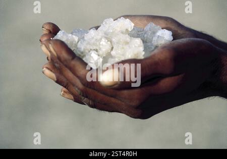 Salzpflanze, Mann mit Salzkristallen, kleiner rann aus kutch, gujarat, indien Stockfoto