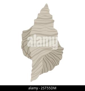 Isolierte Muschel auf weißem Hintergrund Stock Vektor