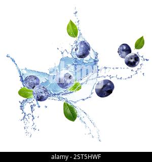 Heidelbeeren, grüne Blätter und Spritzwasser in der Luft auf weißem Hintergrund Stockfoto