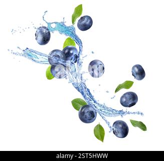 Heidelbeeren, grüne Blätter und Spritzwasser in der Luft auf weißem Hintergrund Stockfoto