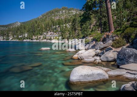 Lake Tahoe felsige Küste an sonnigen Tagen mit blauem Himmel über klarem, transparentem Wasser Stockfoto