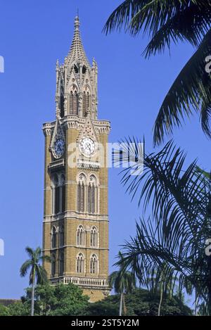 Rajabhai Tower, bombay mumbai, maharashtra, indien Stockfoto