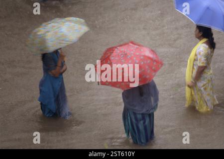 Drei Frauen gehen mit einem farbigen Regenschirm in überflutetem Wasser, Monsun, Weltrekordregen in Kalyan, Bombay, jetzt Mumbai, Maharashtra, Indien, ASI Stockfoto