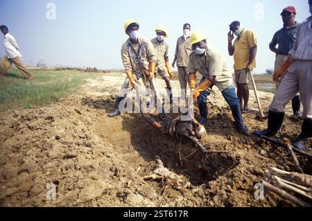 Rettung Männer, die Leiche halten, Zyklon in Orissa, Indien, November 1999 Stockfoto