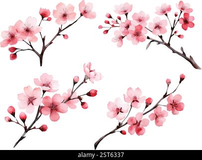 Aquarell Kirschblüten Zweige - Vektor-Illustration Set Stock Vektor