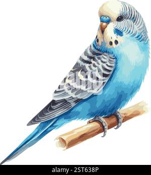 Niedliche Aquarellvektor-Illustration eines blauen Budgie Stock Vektor