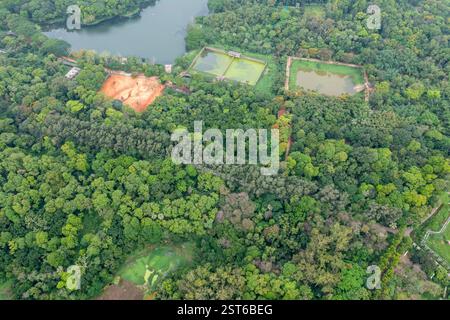 Ein atemberaubender Blick aus der Vogelperspektive auf den National Botanical Garden mit üppigem Grün und ruhigen Landschaften in Mirpur, Dhaka, Bangladesch. Stockfoto