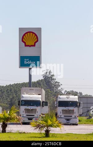 Sao Paulo, Brazi - 27. november 2020 - Shell-Logo-Schild an der Tankstelle. Die Shell Oil Company ist eine der größten Ölkonzerne in den USA Stockfoto